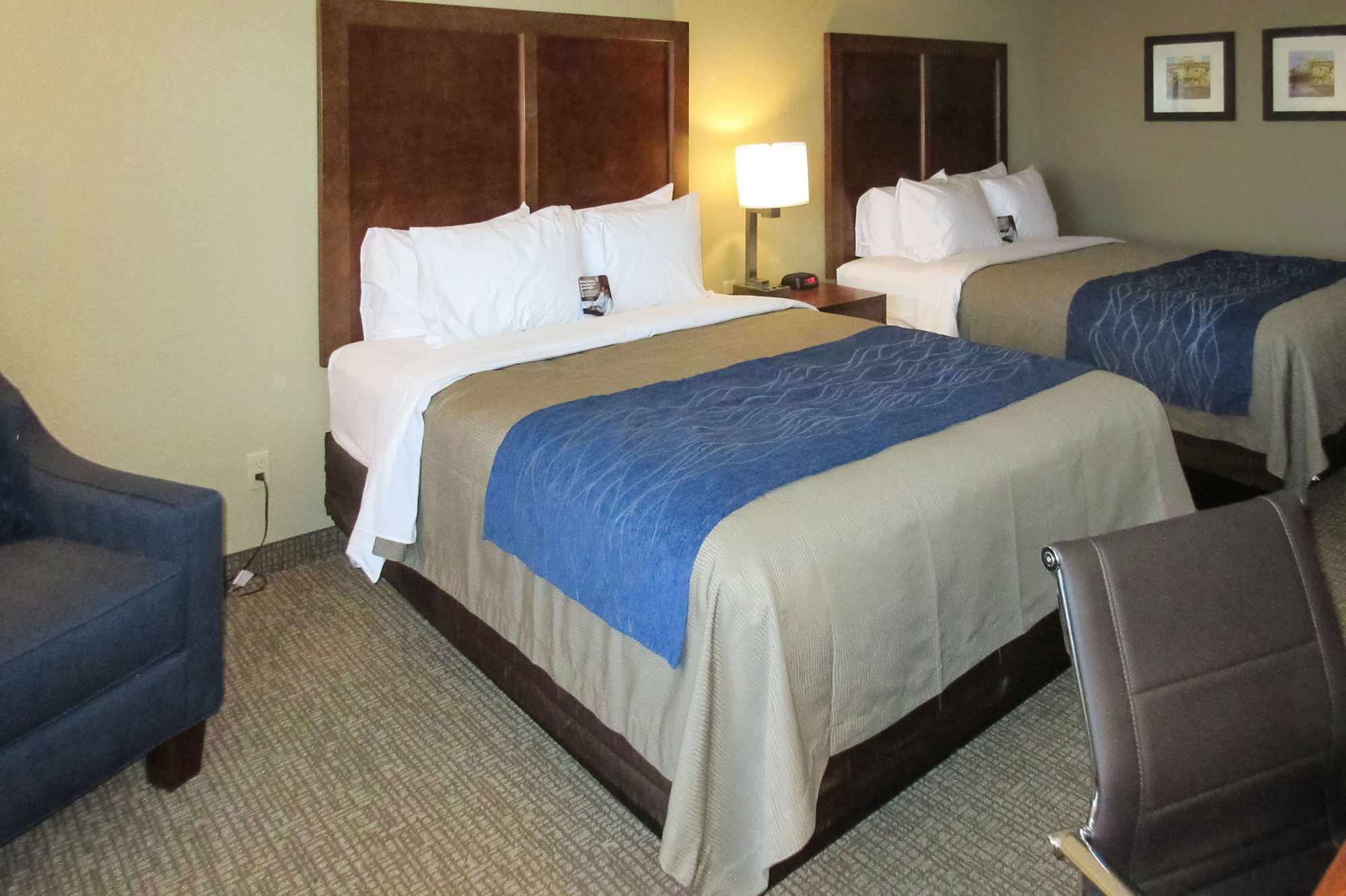 Comfort Inn & Suites Rocklin - Roseville Room photo